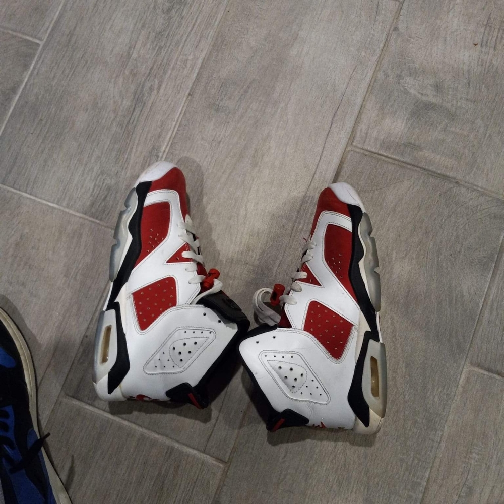 Jordan 6s Carmines
